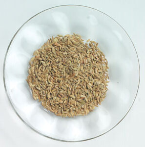 Herbs For Health: Bowel Conditions Image
